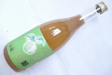 子宝 プレミアムリッチ梅酒 （果肉入り超濃厚梅酒） 720ml【山形・楯の川酒造】