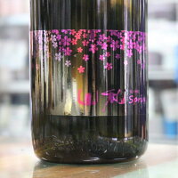 日本酒 山和 やまわ 純米吟醸 spring スプリング 夜桜ラベル 1800ml 1800ml 宮城 山和酒造店