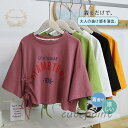 大きいサイズ トップス レディース tシャツ 二の腕カバー 韓国風 ふんわり 体型カバー ゆったり 着痩せ 短め 通学 通勤 かわいい