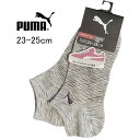 PUMA C fB[X \bNX Xj[J[ wZ XN[\bNX }\ EH[LO wZ Z q ̎q Ԃ v[}  JWA X|[c 23-25cm