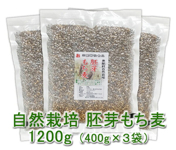 自然栽培 胚芽もち麦 (400g)X3袋★熊本県産★無肥料・無農薬・自家採取★もちもちプチプチした食感が特徴で栄養豊富な雑穀米♪低カロリーなので、もち麦ダイエットにも♪