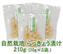 らっきょう漬け(70g)X3袋★無肥料・無農薬の自然栽培らっきょうを漬け込みました★無添加・無化学調味料★甘くない、砂糖を使わずさわやか♪