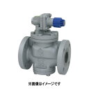 ベン 減圧弁 10KF FC+SUS 1.0Mpa : RP 6 -G 25A 0.03-0.8Mpa 蒸気∴(4)