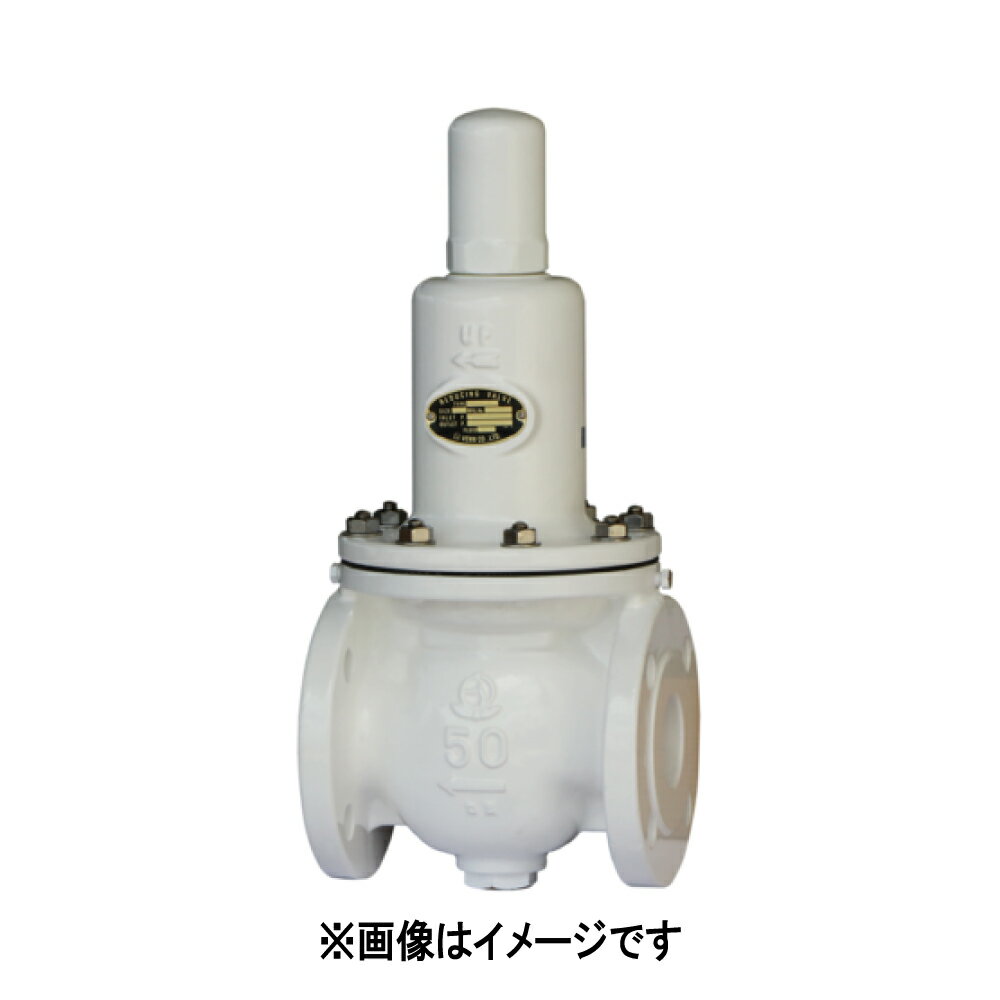 樂天商城 - ベン 減圧弁 10KF 水法 CAC+CAC 1.0Mpa : RD14 CN-B [L(0.05~0.35)/H(0.3~0.5)]100A∴
