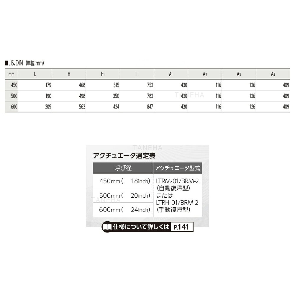 ��ͭ���� 75���Х��ե饤�Х�� S����400V PVDF/FKM F 10K : A 75 S4 F V W1 450 450���