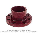 旭有機材 FNTC1013 10K 13 : 塩ビ耐熱フランジ C-PVC∴