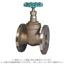 東洋バルブ 150-BSF-N80 (EBH同等):汎用150型 フランジ付 ゲート弁 内捻ハンドル∴ゲートバルブ仕切弁 ゲート弁 東洋バルウ゛
