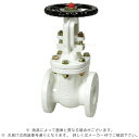 東洋バルブ 鉛レス ナイロン 10K F付 ゲートバルブ : J10-FSRF-CN 300 鉛レス(10FCLN)∴ゲートバルブ仕切弁 ゲート弁