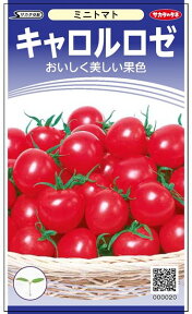 ミニトマト 種 『キャロルロゼ』 サカタのタネ/小袋（粒数目安13粒）