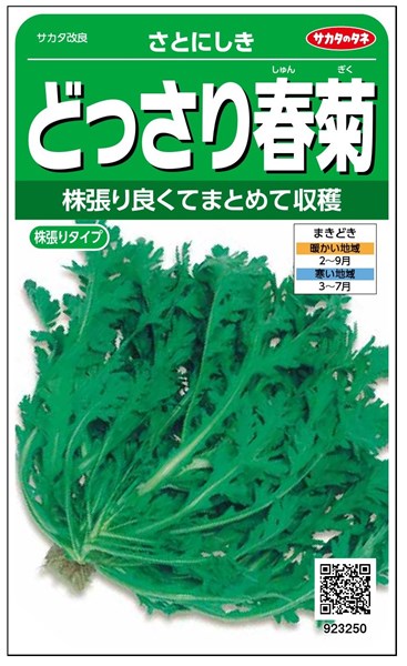 シュンギク 種 『さとにしき』 サカタのタネ/小袋（粒数目安1400粒）