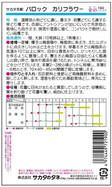 カリフラワー 種 『バロック』 ペレット5000粒 サカタのタネ