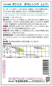 ホウレンソウ 種 『オシリス』 小袋（採苗本数500本）（PRIMAX処理） サカタのタネ