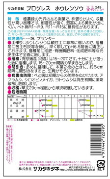 ホウレンソウ 種 『プログレス』 【PRIMAX】M:3万粒 サカタのタネ