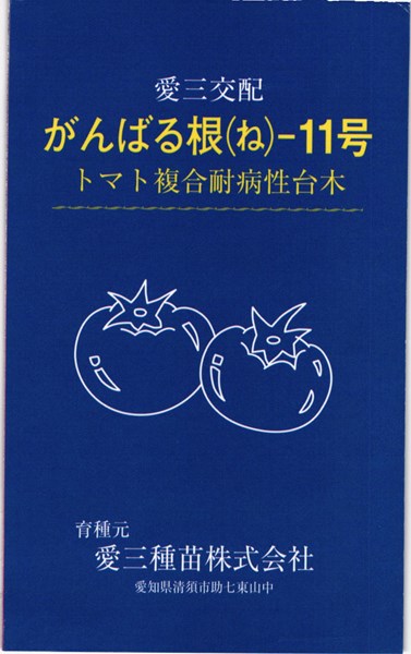 トマト台木 種 『がんばる根11号』 愛三種苗/100粒