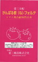 トマト台木 種 『がんばる根フォルテ』 愛三種苗/100粒