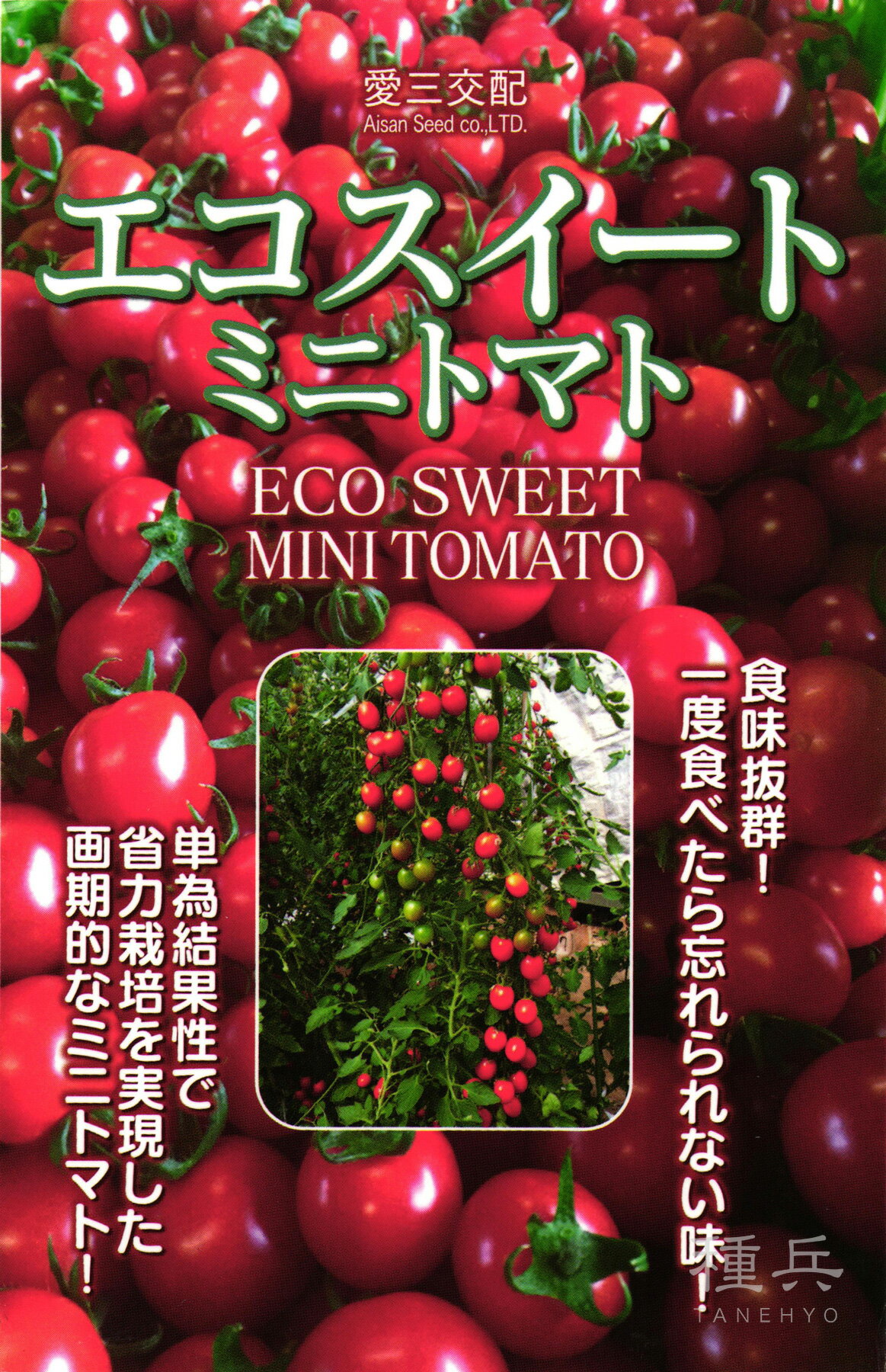 ミニトマト 種 『エコスイート』 愛三種苗