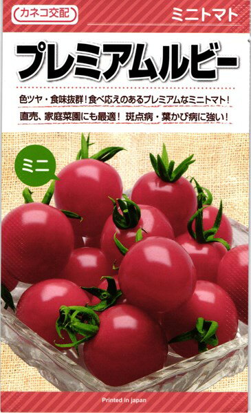 ミニトマト種『プレミアムルビー』1000粒カネコ種苗