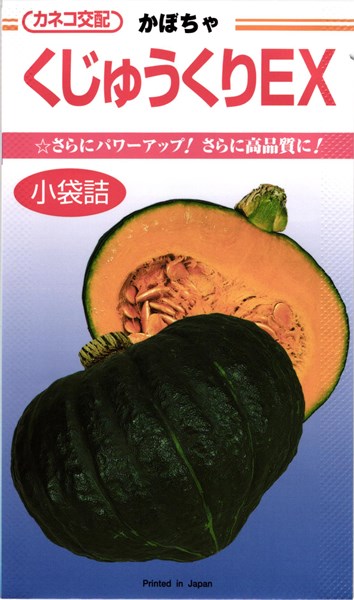 カボチャ 種 『くじゅうくりEX』 カネコ種苗/1000粒のサムネイル