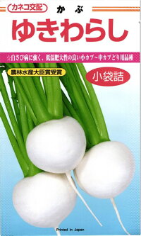 小〜中カブ種『ゆきわらし』20mlカネコ種苗