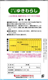 小〜中カブ種『ゆきわらし』20mlカネコ種苗