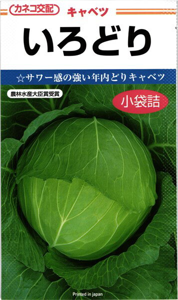 ※この種1mlあたり粒数の目安…150〜250粒サワー感の強い年内どりキャベツ【特長】播種後約95日で収穫できる早生種です。・球形は厚みのある扁円形で、裂球しにくい品種です。・内部、外観ともにサワー感を有し、球色は深みのある緑色で、球の尻部まで良く着色し、内部の色は淡黄色となります。・萎黄病に対してはAタイプの抵抗性を有し、黒腐病にも強い耐病性があります。・根群の発達に優れるので、重い土壌でも栽培が容易です。・最適作型は、中間地の7月まき、冷涼地の5〜6月まきなどです。 ご注文の際は必ずお読みください 【商品の出荷について】 ◆お取り寄せ品につき、出荷までに若干の日数を頂戴しております（通常2〜7営業日程度）。 ◆メーカーの在庫状況によっては、出荷までしばらくお待ちいただく場合や、キャンセルさせていただく場合があります（メールでお知らせ致します）。 ◆ご注文の一部が在庫切れの場合、在庫のある商品を先に出荷し、在庫切れ品は入荷後の出荷とさせていただきます（後送分の送料は当店にて負担致します）。 ◆メール便は普通郵便を使用するため、到着まで日数がかかる場合があります。宛先へのポスト投函で配達完了となり、荷物の追跡はできません。また、土日祝日は配達されません。 【種子について】 ◆ご注文の時点でのメーカー在庫のお取り寄せとなりますので、ご注文の時期よっては種子の有効期限が間近な商品となる場合があります。 ◆種子は発芽試験を受けた純良なものをご用意させていただきますが、播種後、温度や水分などが不適な条件下では発芽しない場合があります。 ◆栽培条件・天候等により生育に差が生じることがあり、また、結果が異なる場合があります。むやみな早まき遅まきを避け、適期の播種を心がけてください。 ◆種子のパッケージは、内容量の違いやデザインの変更などにより、写真と異なる場合があります。 以上、ご注文に際し予めご了承下さい。