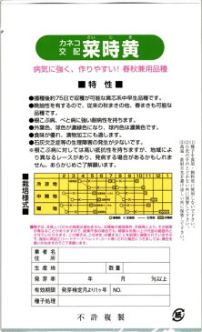 春秋まきハクサイ 種 『菜時黄』 20ml カネコ種苗