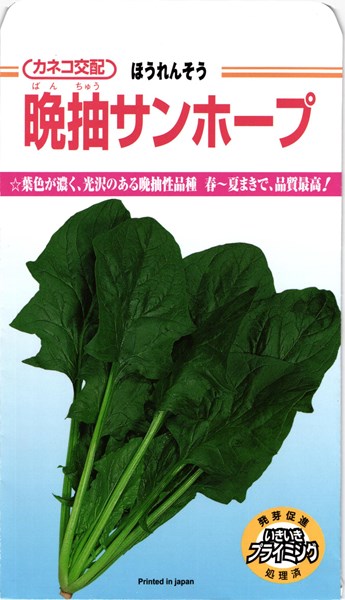 ホウレンソウ 種 『晩抽サンホープ』 カネコ種苗/小袋（31ml）