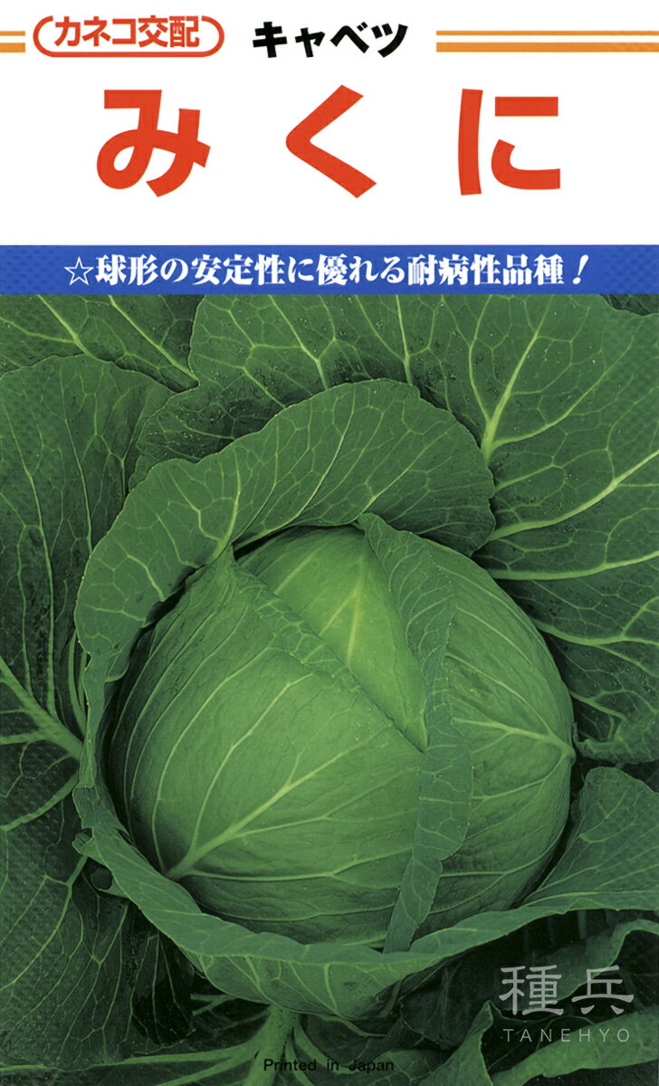 中早生キャベツ 種 『みくに』 カネコ種苗