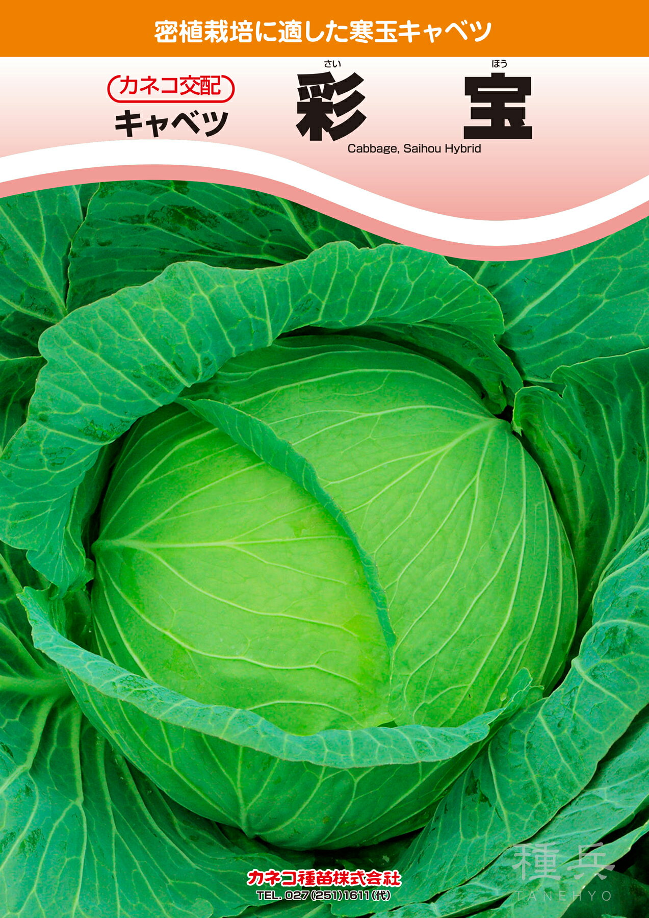 中早生キャベツ 種 『彩宝』 カネコ種苗