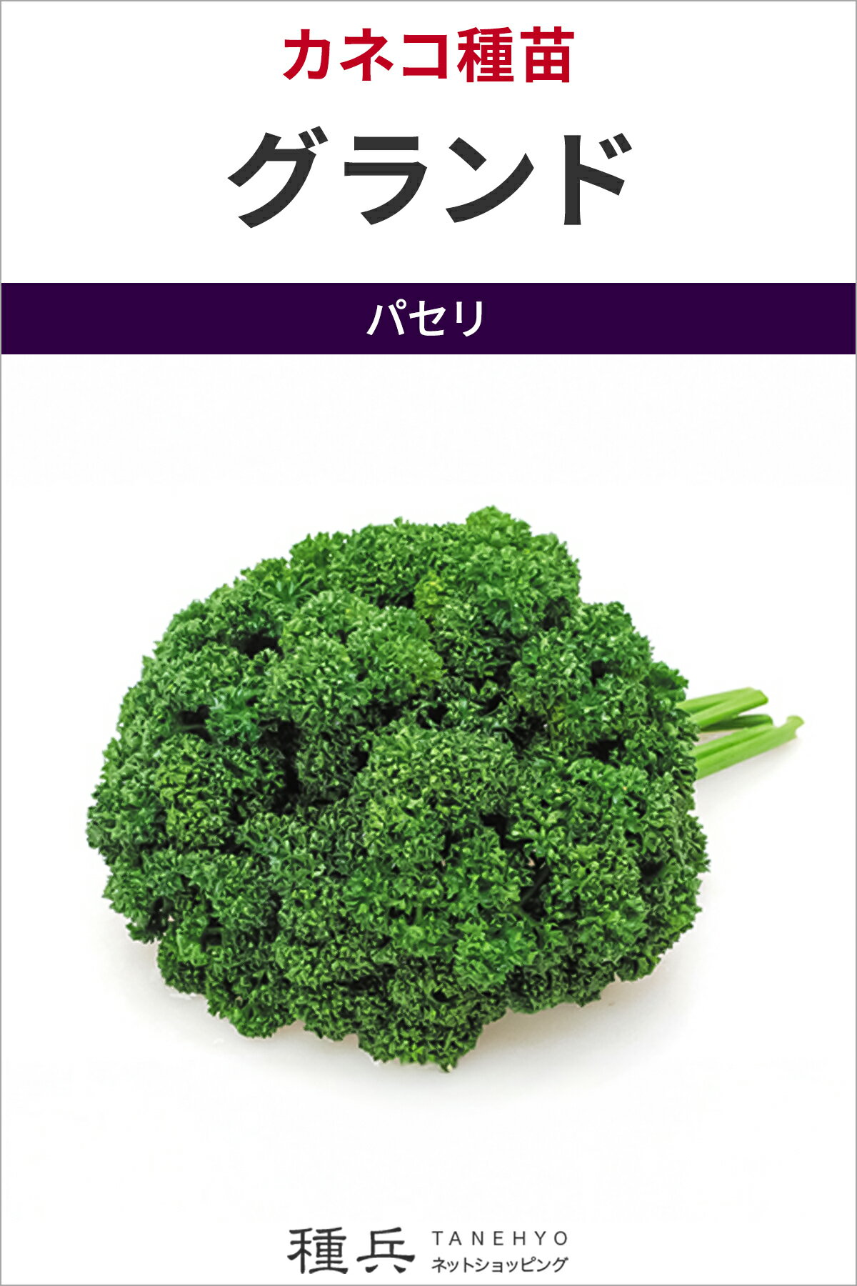パセリ 種 『グランド』 カネコ種苗