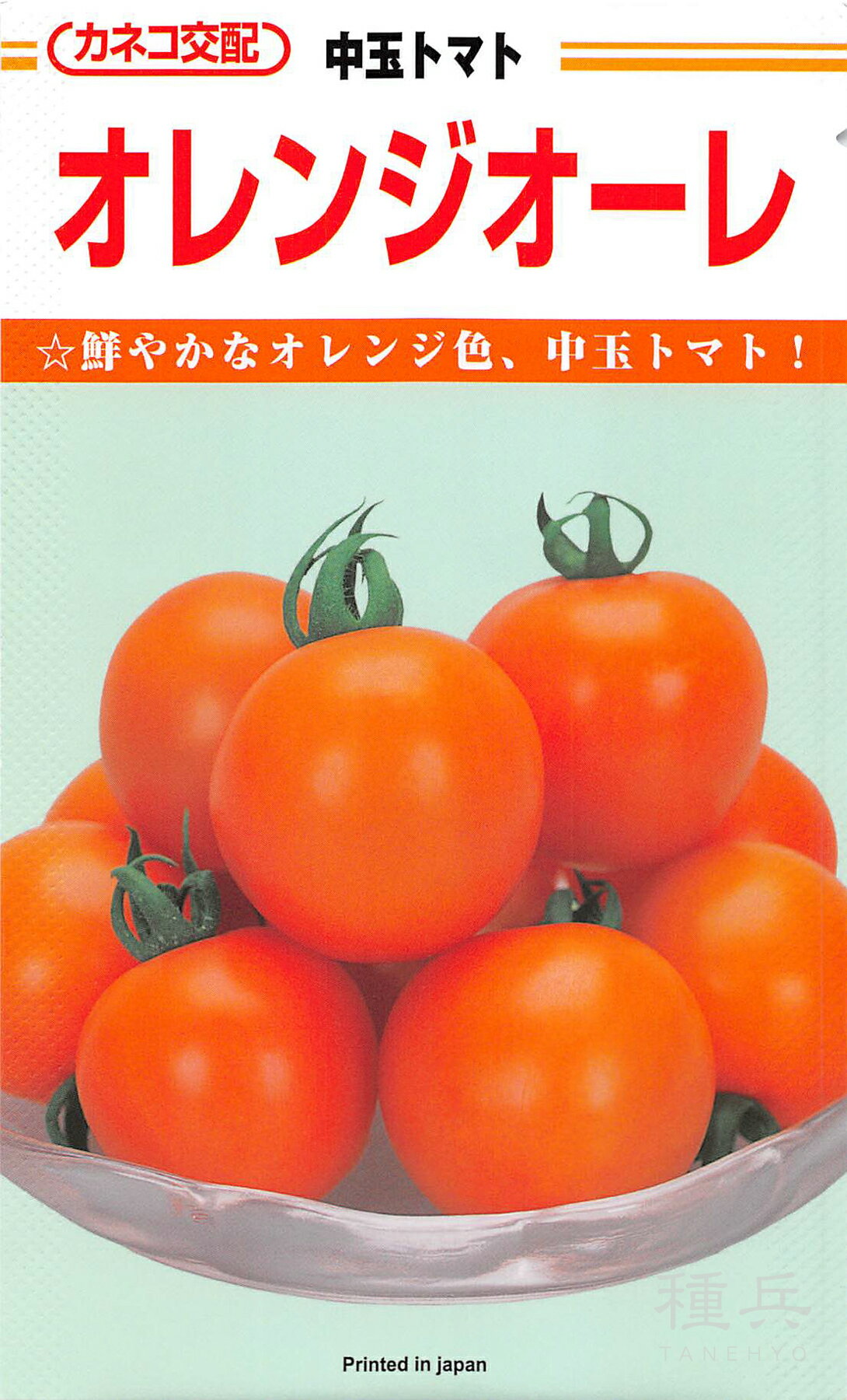 中玉トマト 種 『オレンジオーレ』 カネコ種苗のサムネイル