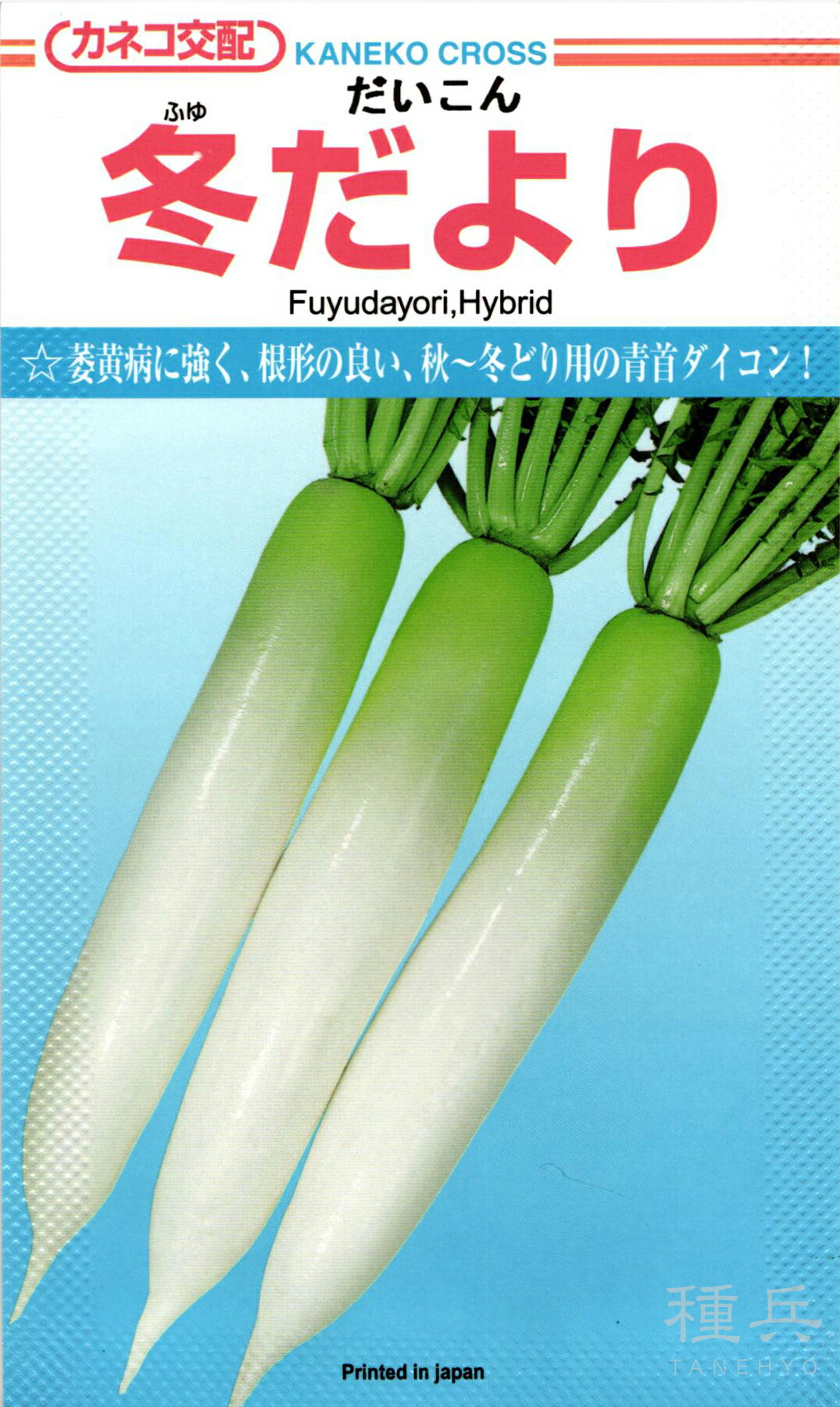 秋まきダイコン 種 『冬だより』 カネコ種苗