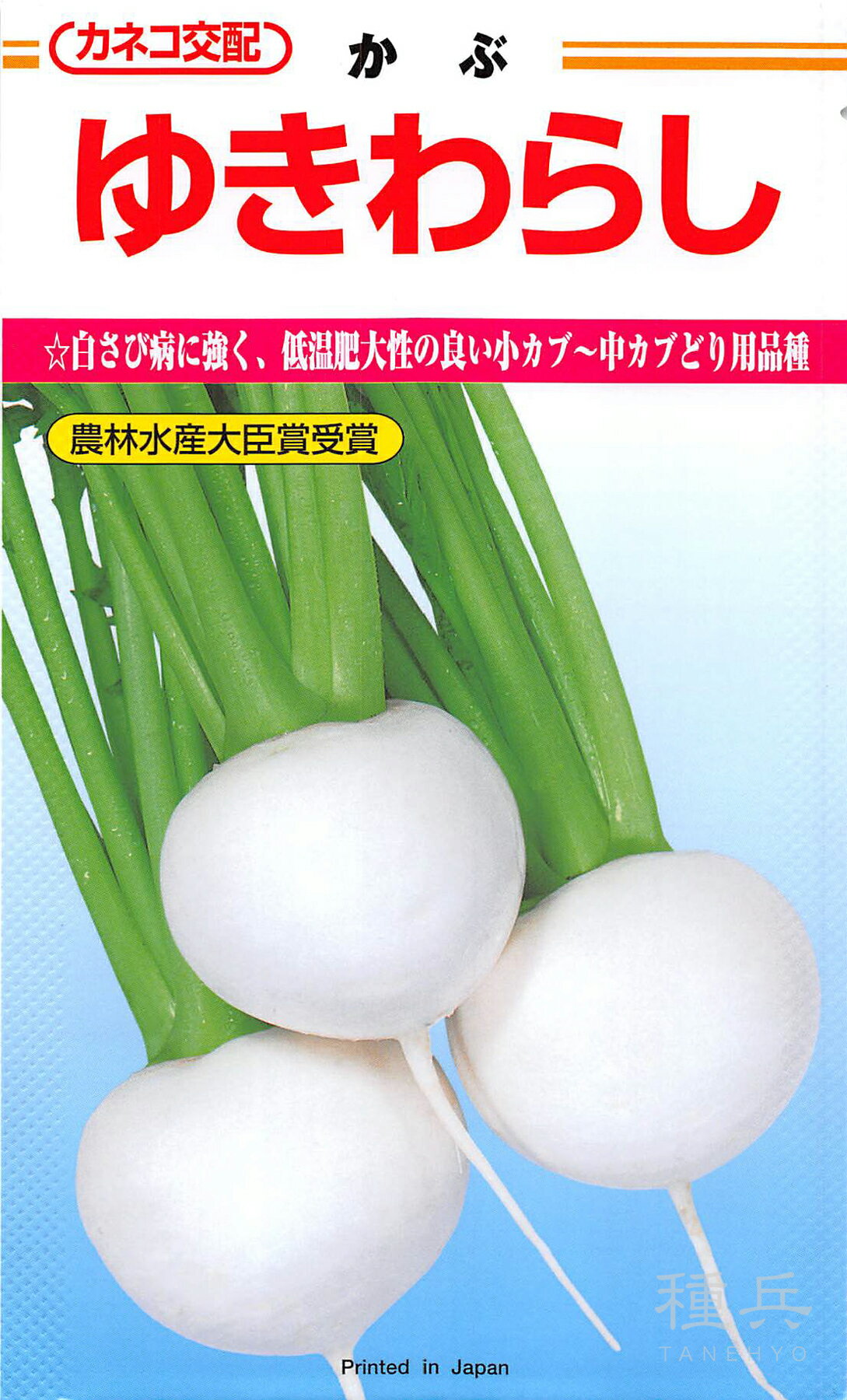 ※この種1mlあたり粒数の目安…330〜375粒白さび病に強く、低温肥大性の良い小カブ〜中カブどり用品種【特長】低温肥大性が良く、小カブから中カブまでの出荷が可能です。・白さび病に対して絶大の強さを持っています。・草姿は極立性で、葉の垂れは少なく、葉柄は極太でしっかりしているので、収穫、洗浄、調整、結束作業が非常に容易です。・根部は豊円形で、尻のまとまりが良く、変形や尖り玉になりにくいです。・肉質は軟らかで、甘みに富みます。 ご注文の際は必ずお読みください 【商品の発送について】 ◆お取り寄せ品につき、出荷までに若干の日数を頂戴しております。通常2〜7営業日程度の出荷となりますが、正月・盆・GW期間などはメーカー休業のため、さらに日数を頂戴する場合があります。 ◆商品は予告なしにメーカー在庫切れまたは廃盤になる可能性があり、発送までしばらくお待ちいただく場合や、キャンセルさせていただく場合があります（メールで連絡いたします）。 ◆ご注文の一部が在庫切れの場合、在庫のある商品を先に出荷し、在庫切れ品は入荷後の出荷とさせていただきます（後送分の送料は当店にて負担致します）。 ◆メール便は普通郵便を使用し、配達状況の追跡はできません。また、配達に2〜5営業日程度かかり、土日祝日の配達はお休みとなりますので、余裕を持った注文をお願いします。 【種子について】 ◆ご注文時点でのお取り寄せとなりますので、ご注文のタイミングよっては種子の有効期限が短い商品となる場合があります。早すぎるご注文は避け、ご自身の播種時期に合わせたご注文をお願いします。 ◆種子は発芽試験を受けた純良なものをご用意させていただきますが、播種後、温度や水分などが不適な条件下では発芽不良となる場合があります。 ◆栽培条件・天候等により生育に差が生じることがあり、また、結果が異なる場合があります。むやみな早まき遅まきを避け、適期の播種を心がけてください。 ◆種子の本質上、100%の純度は望めません。採種環境などにより異株が若干発生することがあります。 ◆商品のパッケージは、内容量の違いやデザインの変更などにより、掲載の写真と異なる場合があります。 ◆種子小袋の内容量は予告なく変更される場合があり、実際の内容量と若干異なる場合があります。 以上、ご注文に際し予めご了承下さい。