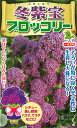 種兵ネットショッピングで買える「紫色スティックブロッコリー 種 『冬紫宝』 小林種苗」の画像です。価格は440円になります。