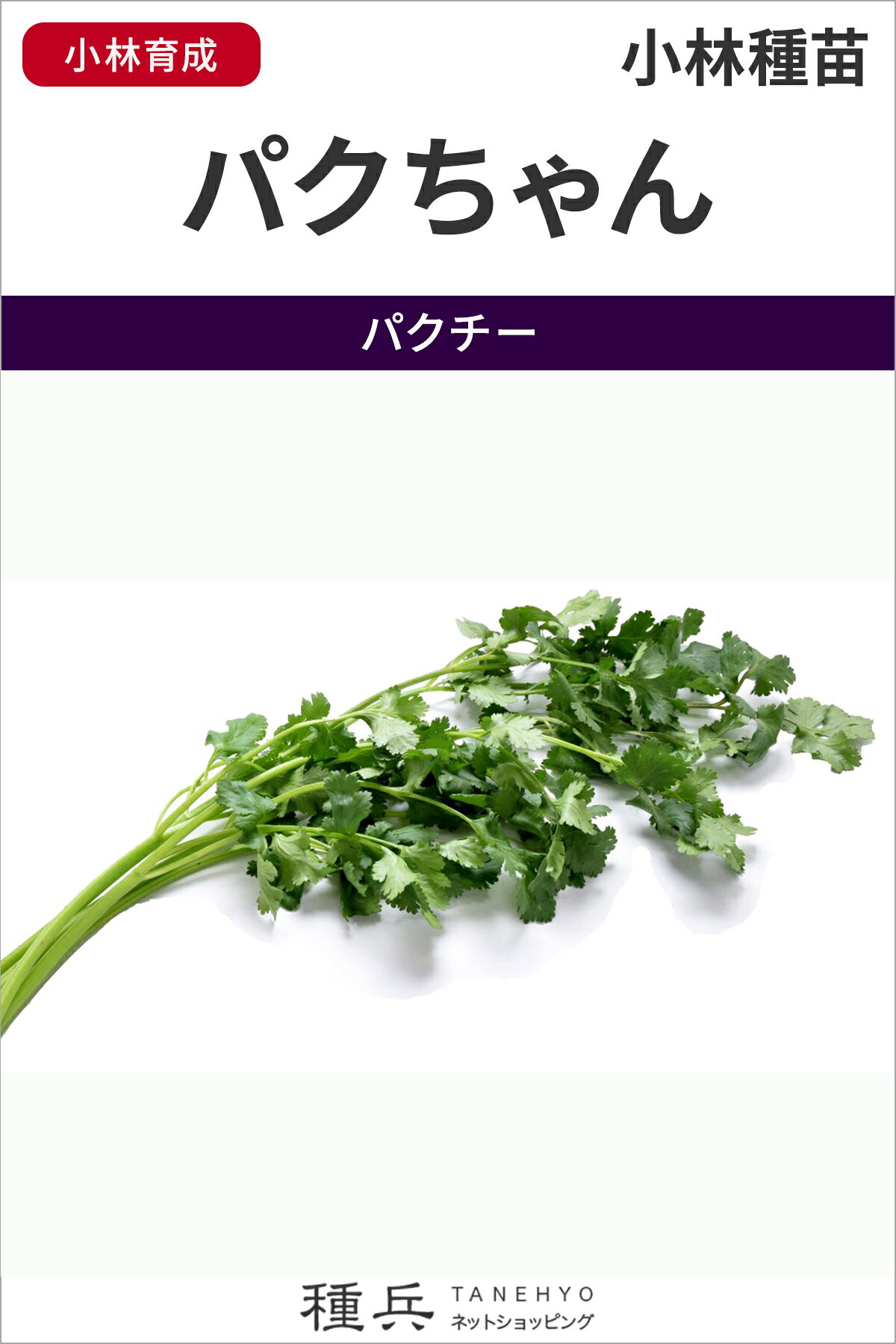 ʼͥåȥåԥ󥰤㤨֥ꥢ  إѥ ӼġפβǤʤ264ߤˤʤޤ