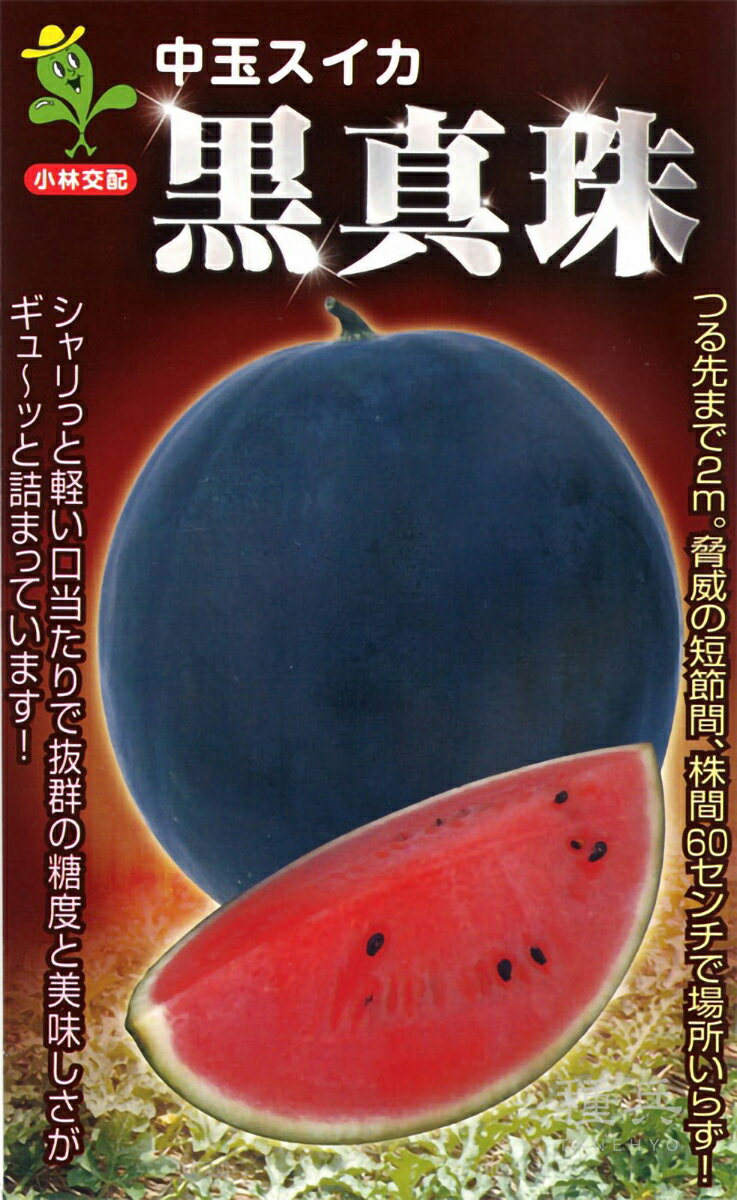 黒皮赤肉スイカ 種 『黒真珠』 小林種苗