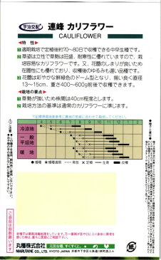 緑カリフラワー 種 『連峰』 1000粒 丸種