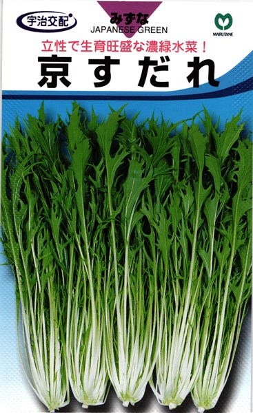 ミズナ 種 『京すだれ』 丸種/コート5000粒