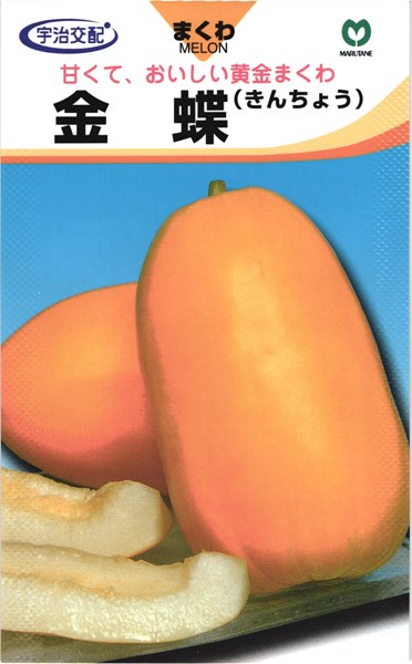 マクワウリ 種 『金蝶甜瓜』 丸種/小袋（1.5ml）