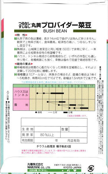 つる無しインゲン 種 『プロバイダー』 小袋 丸種