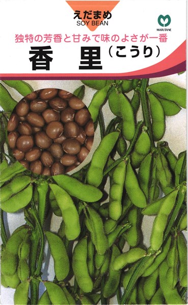 茶豆エダマメ 種 『香里』 丸種/小袋（20ml）