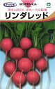 二十日ダイコン 種 『リンダレッド』 丸種/1000粒