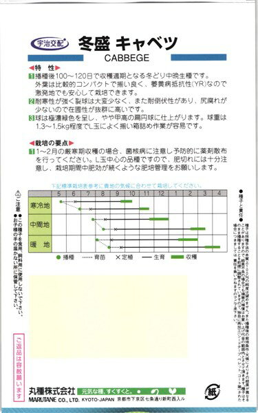 冬どりキャベツ 種 『冬盛』 丸種/小袋（100粒） 2