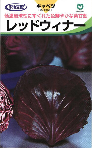 赤キャベツ 種 『レッドウイナー』 丸種/小袋（0.8ml）