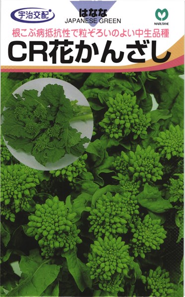 中生ナバナ 種 『CR花かんざし』 丸種/小袋（5ml）