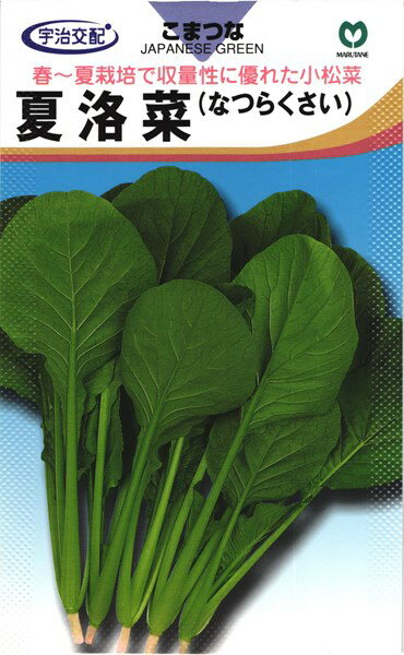 コマツナ 種 『夏洛菜小松菜』 丸種/小袋（7ml）