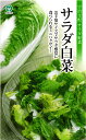 極早生ハクサイ 種 『サラダ白菜』 丸種