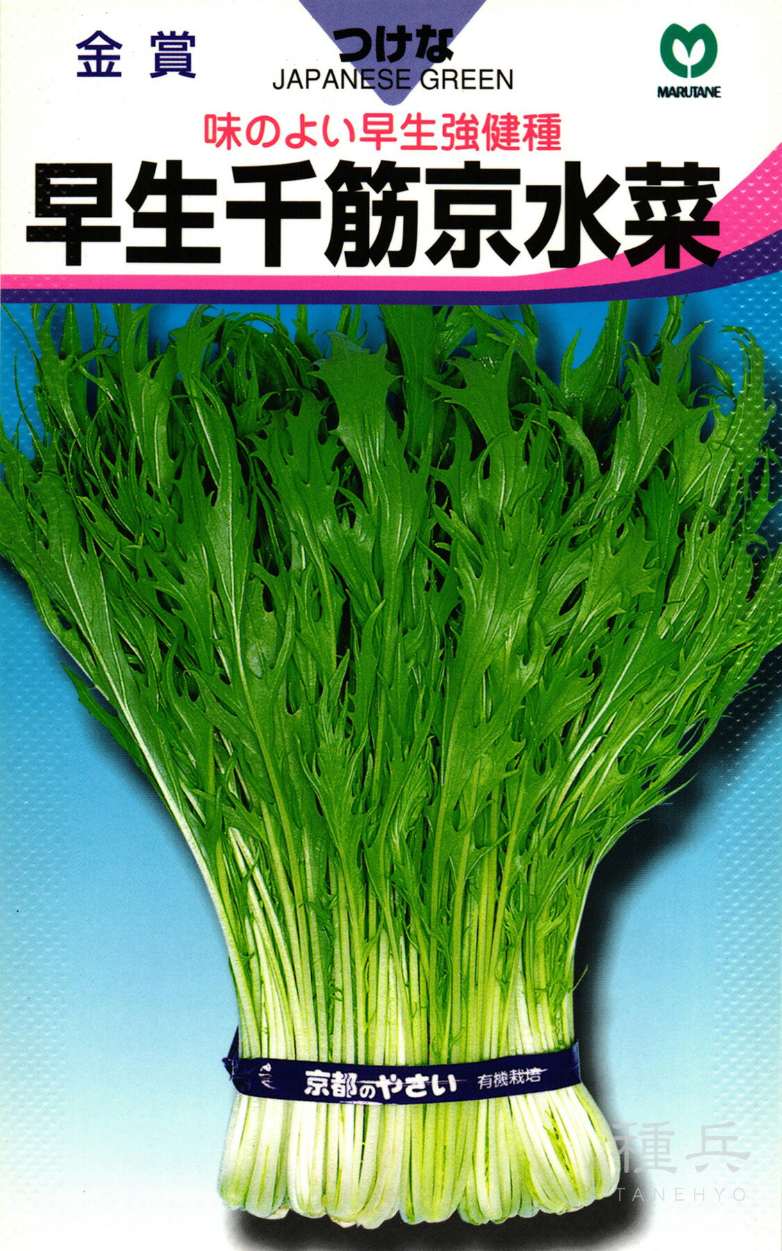 ミズナ 種 『早生千筋京水菜』 丸種