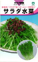 ミズナ 種 『サラダ水菜』 丸種