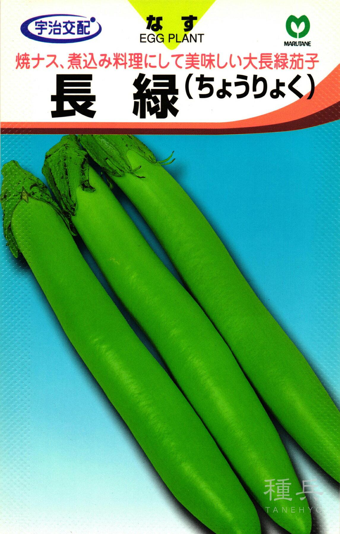 緑ナス 種 『長緑』 丸種